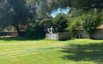 Property slide 10