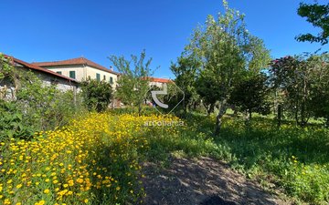 Property slide 39