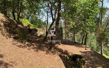 Property slide 11