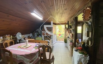 Property slide 31