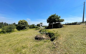 Property slide 31