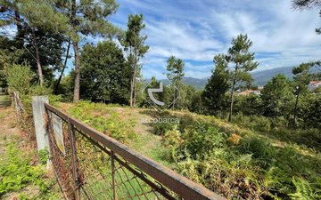 Property slide 3