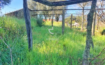 Property slide 8