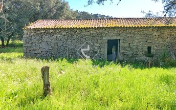 Property slide 13