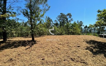 Property slide 3