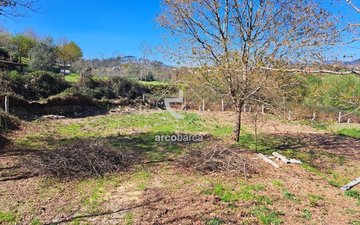 Property slide 3