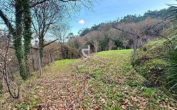 Property slide 2
