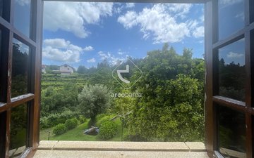 Property slide 81