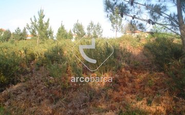 Property slide 4
