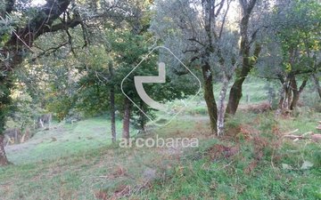 Property slide 6