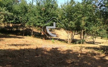 Property slide 10