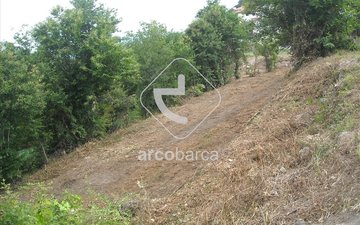 Property slide 4