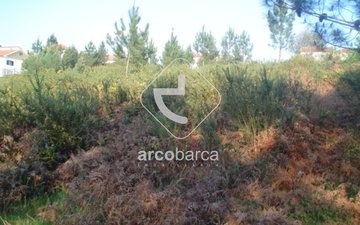 Property slide 6