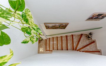 Property slide 38