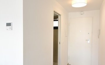 Property slide 11