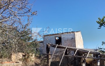 Property slide 11