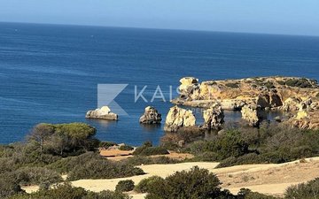 Property slide 44