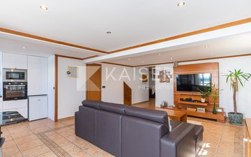Property slide 13