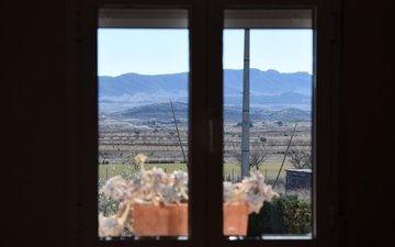 Property slide 23