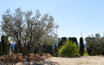Property slide 21