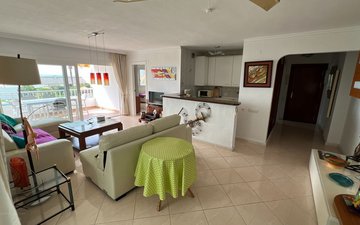 Property slide 11