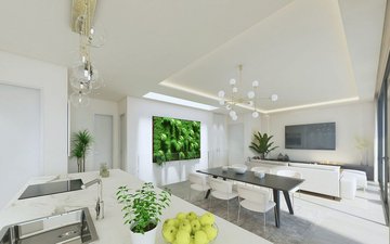 Property slide 11