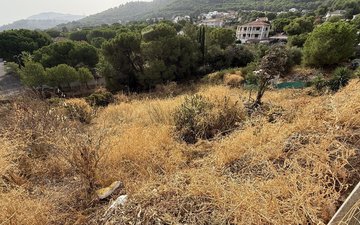 Property slide 20