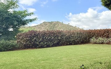 Property slide 45