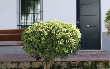 Property slide 3