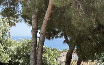 Property slide 48