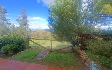 Property slide 25
