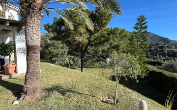Property slide 41