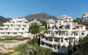 Property slide 16