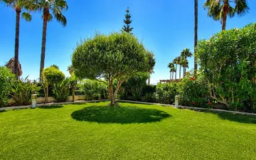 Property slide 4