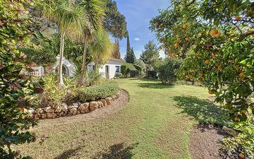 Property slide 46