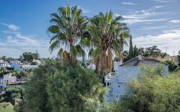 Property slide 49