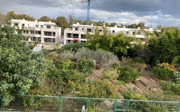 Property slide 11