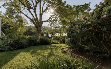 Property slide 9