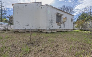 Property slide 13