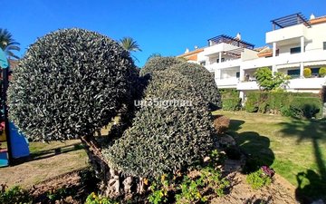 Property slide 16
