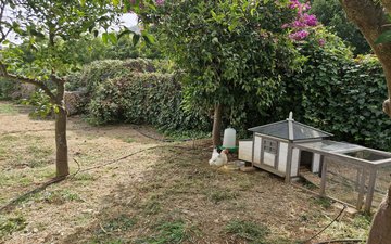 Property slide 34