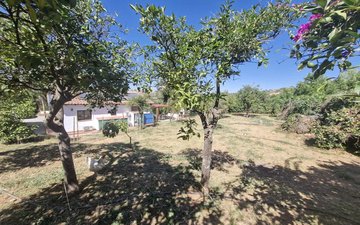 Property slide 35