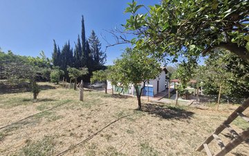 Property slide 36