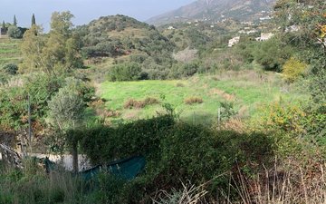 Property slide 11