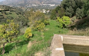 Property slide 15