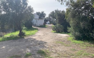 Property slide 9