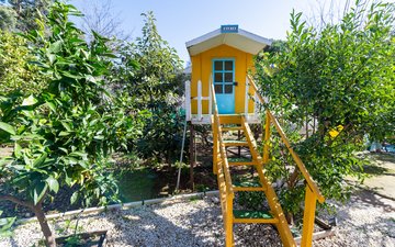 Property slide 10