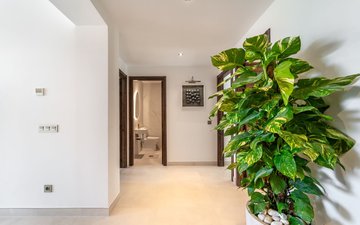 Property slide 35