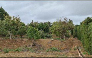 Property slide 13