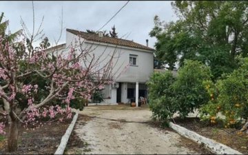Property slide 4